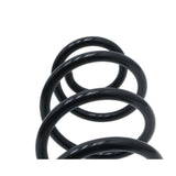 Rear Coil Spring for 2013-2019 Nissan Sentra 55020-3SH0C - product view 5