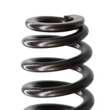 16X Drop-In Beehive Valve Spring Kit PAC-1218 For GM LS Engines 600" Lift Rated – product image 7