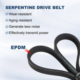 A/C Steering Alternator Water Pump Belt Kit for 2006-2011 Hyundai Accent 1.6 2521226021 – product image 2