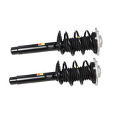 Front Strut Pair for 2011-2020 BMW 3 Series 4 Series 31316873798