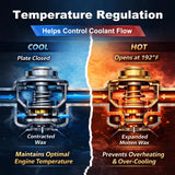 Coolant Thermostat for Ford E-150 E-250 E-350 E-450 2003-2014 7L3Z-8575-E – product image 5
