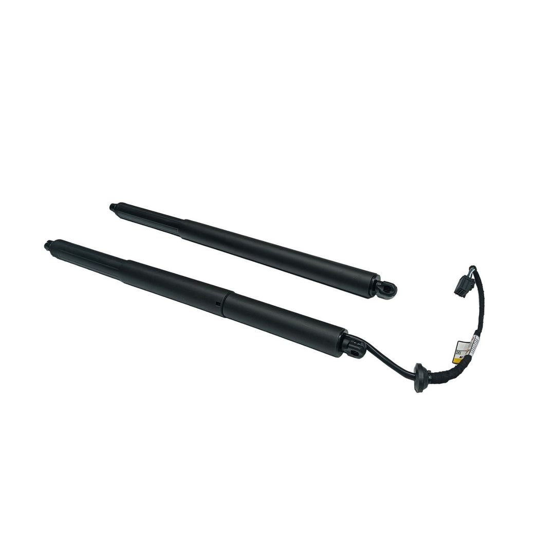 Liftgate Lift Support Pair for 2018-2022 Chevrolet Equinox 1.5L