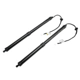 Rear Power Liftgate Support Pair for 2019-2023 Toyota RAV4 and RAV4 Prime 68920-42020
