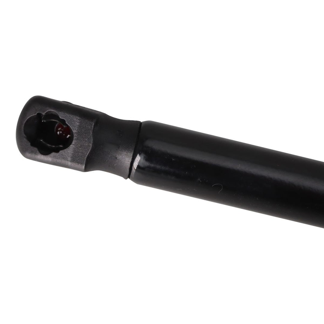 Trunk Lid Lift Support Pair for 2005-2010 Scion tC