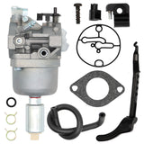 Carburetor for Briggs & Stratton 33R877-0007-G1 Lawn Mower Engines 799256