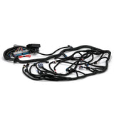 LS Swap Standalone Wiring Harness for 1997-2006 Vortec 4.8 5.3 6.0 with 4L60E Drive-By-Cable FIC16