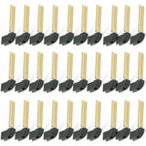 Emergency Key Insert Blade Set (30 Pack) for 2013-2019 Lexus ES GS IS NX RC RX 69515-30380