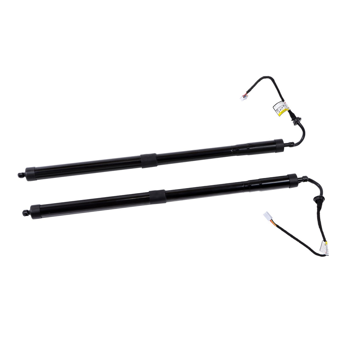 Rear Liftgate Support Strut Pair for 2016-2019 Lexus RX350 RX450h 6892048031 6891048071