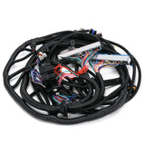 LS Swap Standalone Wiring Harness for 1997-2006 LS1 4.8 5.3 6.0 Drive-By-Cable with T56 FIC41