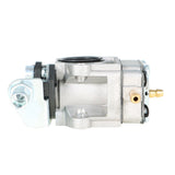 Carburetor Kit with Spark Plug for Ryobi RLT26CDSN Homelite HLT25CNB Trimmers