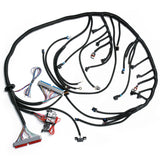 LS Swap Standalone Wiring Harness for 1997-2006 LS1 4.8 5.3 6.0 Drive-By-Cable with T56 FIC41