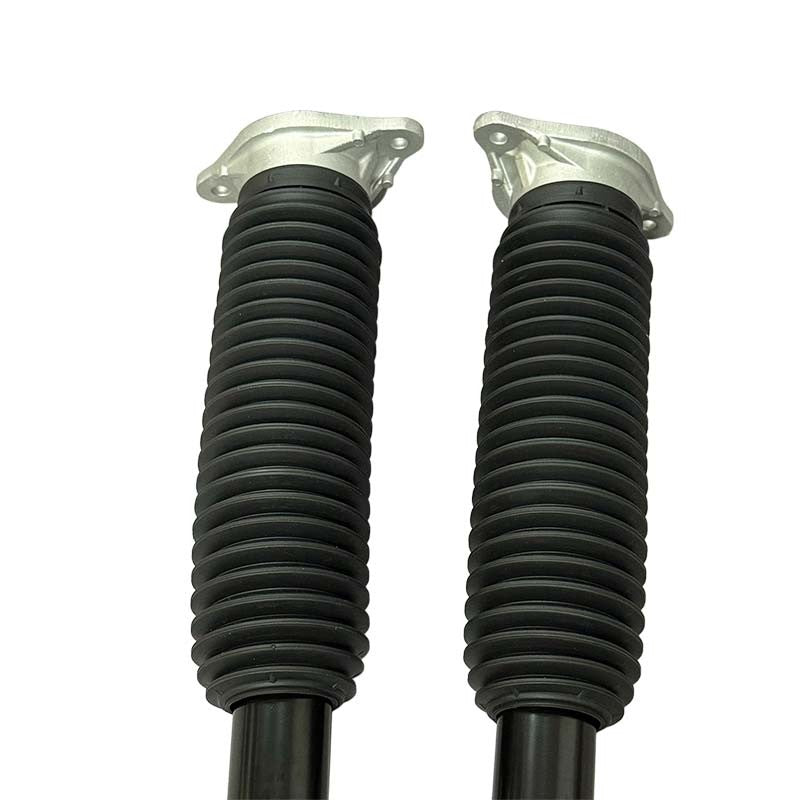 Rear Shock Absorber Pair for 2018-2022 Honda Accord 1.5L 2.0L