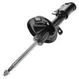 Front Strut Assembly Pair for 2001-2004 Kia Spectra