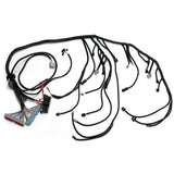 LS Swap Standalone Wiring Harness for 1997-2006 LS1 4.8 5.3 6.0 Drive-By-Cable with T56 FIC41