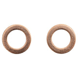 Front Brake Hose Pair for 2002-2005 Dodge Ram 1500