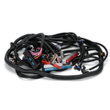LS Swap Standalone Wiring Harness for 1997-2006 Vortec 4.8 5.3 6.0 with 4L60E Drive-By-Cable FIC16