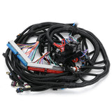 LS Swap Standalone Wiring Harness for 1997-2006 LS1 4.8 5.3 6.0 Drive-By-Cable with T56 FIC41