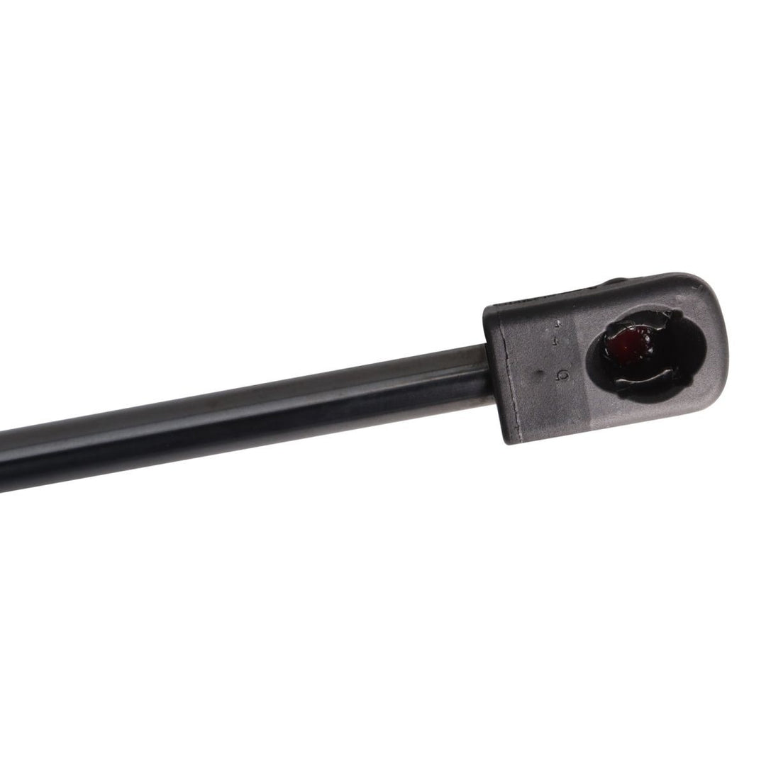 Trunk Lid Lift Support Pair for 2005-2010 Scion tC