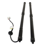 Power Liftgate Strut Pair for 2017-2020 Honda CR-V 74981-TLA-305 74961-TLA-305