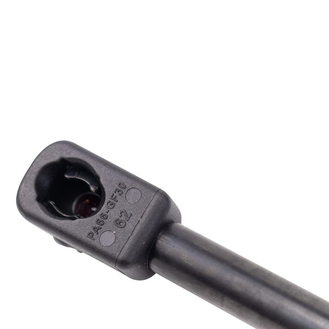 Liftgate Lift Support Pair for 2021-2025 Toyota Sienna