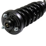 Front Complete Strut Assembly Pair for 2015-2020 Ford F-150 4WD