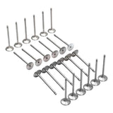 Intake and Exhaust Valve Set 24-Piece for 1990-2006 BMW 3 Series, 5 Series, X3, X5, Z3, Z4 and M3 L6