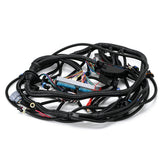 LS Swap Standalone Wiring Harness for 1997-2006 Vortec 4.8 5.3 6.0 with 4L60E Drive-By-Cable FIC16