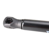 Hood Lift Support Pair for 2019-2023 Ford Ranger