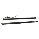 Power Liftgate Strut Pair for 2017-2020 Honda CR-V 74981-TLA-305 74961-TLA-305