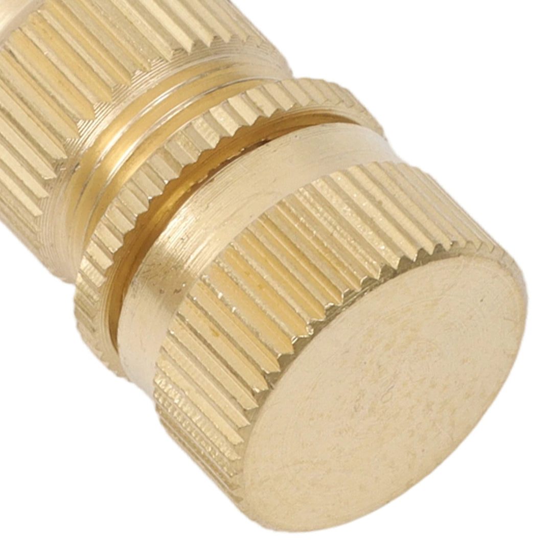 Brass Tire Deflators 0-60 PSI 4 Pack