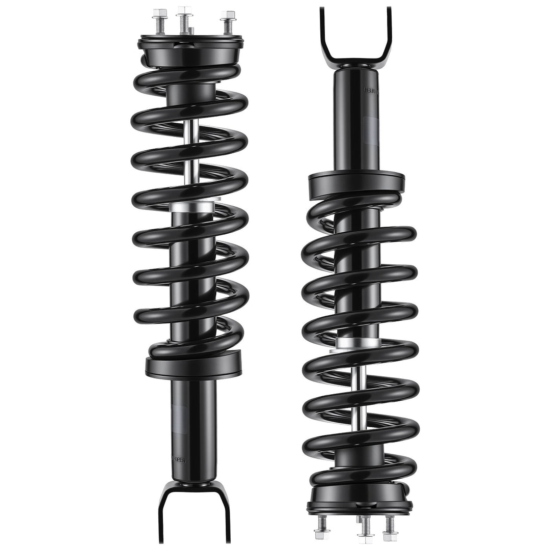 Front Complete Strut Assembly Pair for 2006-2008 Dodge Ram 1500 171111
