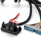 LS Swap Standalone Wiring Harness for 1997-2006 Vortec 4.8 5.3 6.0 with 4L60E Drive-By-Cable FIC16