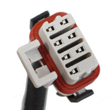 Standalone Wiring Harness w/ 4L80E For 1997-2006 Chevy LS1 DBC 4.8L 5.3L 6.0L – product image 7