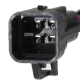 Standalone Wiring Harness w/ 4L80E For 1997-2006 Chevy LS1 DBC 4.8L 5.3L 6.0L – product image 11