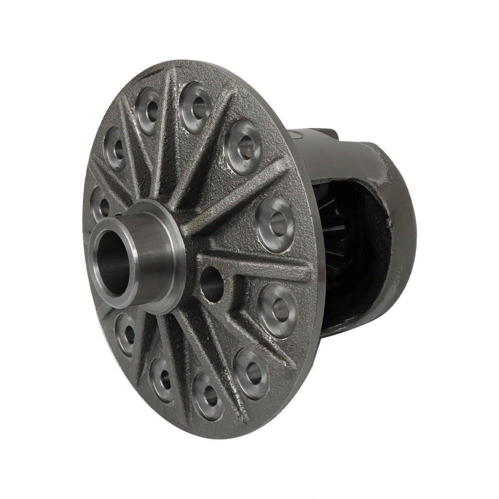 Limited Slip Differential for Dodge Ram 9.25 in 12-Bolt 31 Spline 5161549AA