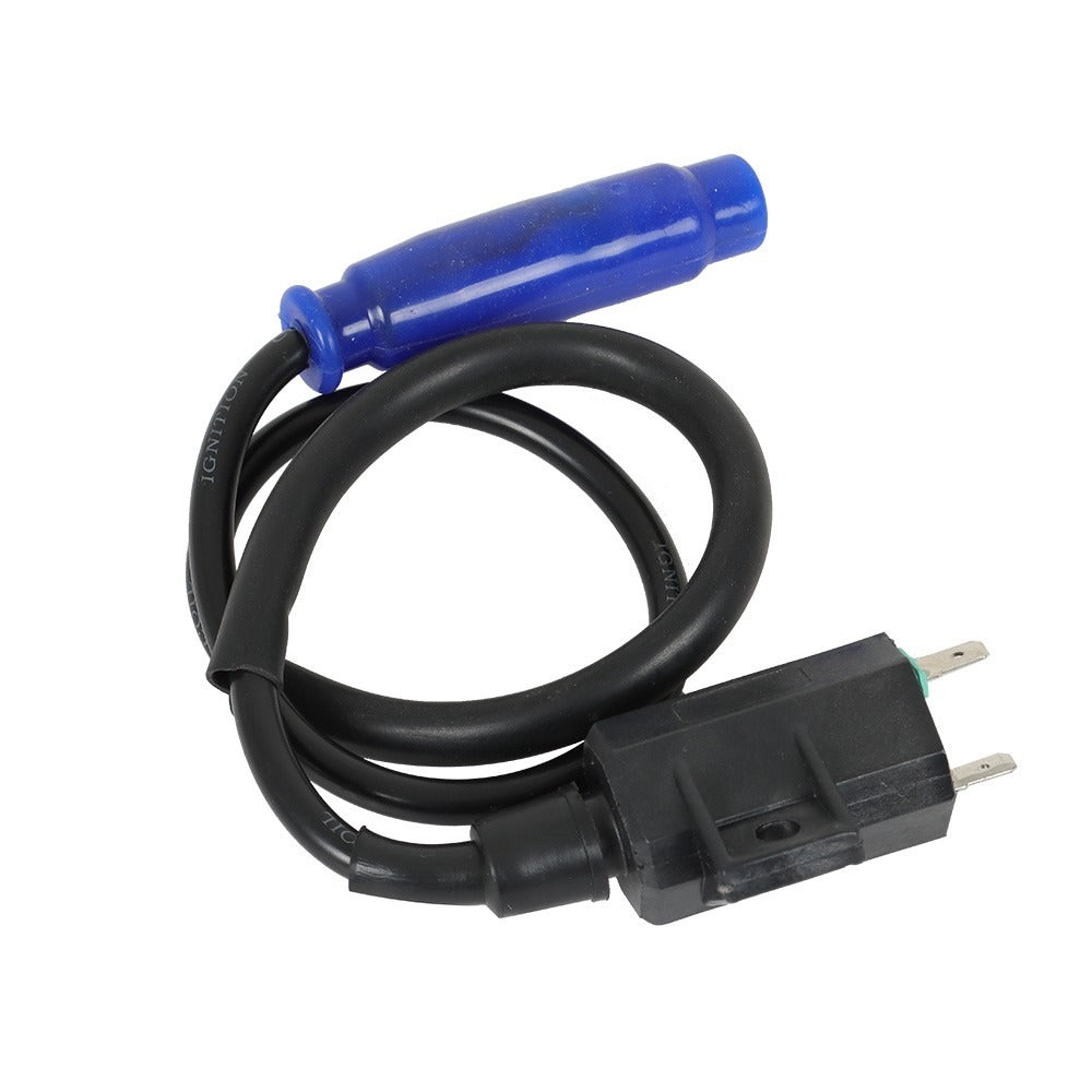 Ignition Coil with Spark Plug and Cap for 2005-2013 Kawasaki Brute Force 650 750 and Prairie 650 700 21121-0018